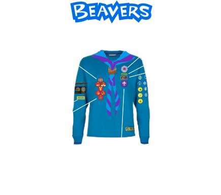 BEAVER SCOUTS Badges and Awards Moving up badge Joining in badges (These are years  in Scouting) Staged and Activity badges Membership badge County & District Group Name  Challenge badges Chief Scout  Bronze Award Occasional badge Leadership stripe