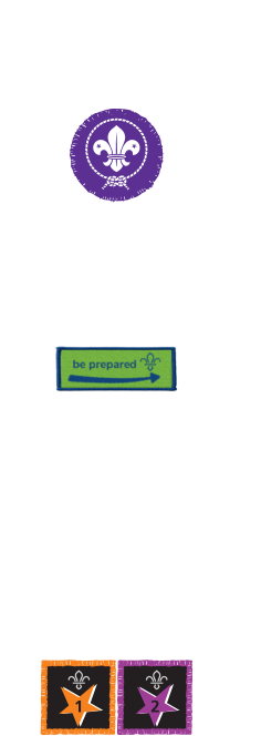 JOINING IN AWARD MOVING ON AWARD    Moving on to Beavers MEMBERSHIP  AWARD