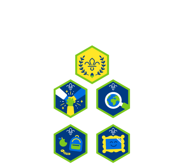 CHALLENGE AWARD Chief Scout Acorn Award All About Adventure All Together All Around Us All About Me