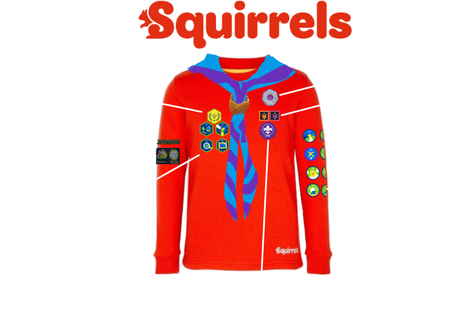Joining in badges (These are years  in Scouting) Staged and Activity badges Membership badge County & District Group Name  Challenge badges Chief Scout  Acorn Award Occasional badge