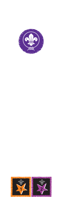 JOINING IN AWARD MOVING ON AWARD    Moving on to Scouts MEMBERSHIP  AWARD