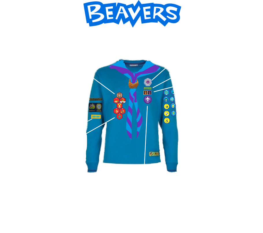 BEAVER SCOUTS Badges and Awards Moving up badge Joining in badges (These are years  in Scouting) Staged and Activity badges Membership badge County & District Group Name  Challenge badges Chief Scout  Bronze Award Occasional badge Leadership stripe